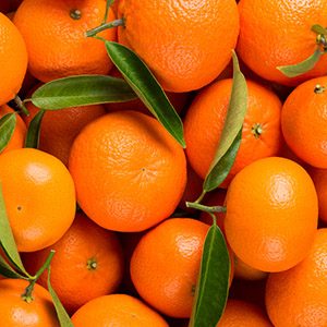 Citrus Reticulata Peel Oil (Mandarin Orange)